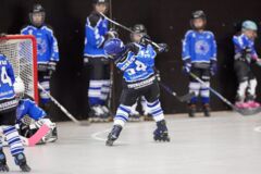 TSV Inline-Skaterhockey